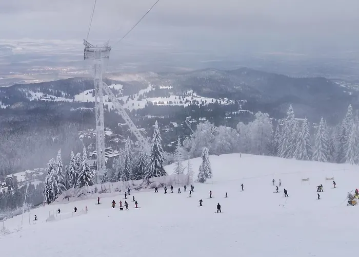 Condmari Residential Braşov